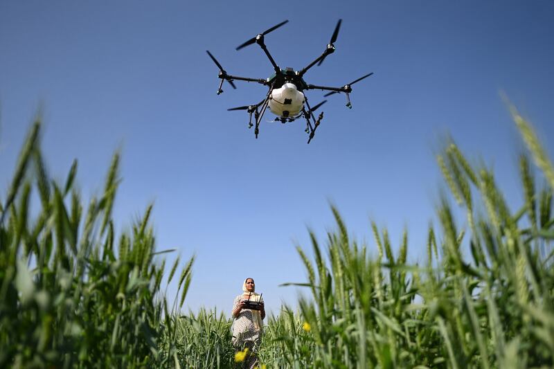 A remote pilot operating a drone to spray liquid fertiliser over a farm in Pataudi, India. AFP