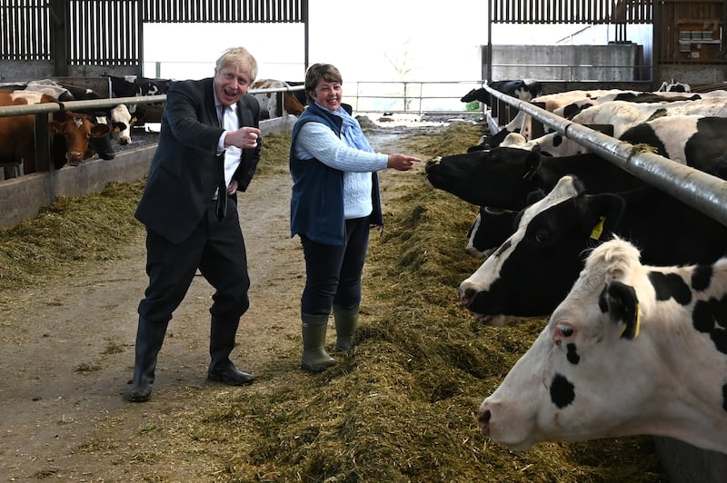 Mr Johnson, accompanied by Welsh Conservative candidate Barbara Hughes, visits Moreton farm near Wrexham as the prime minister campaigns in Wales ahead of elections, on April 26.