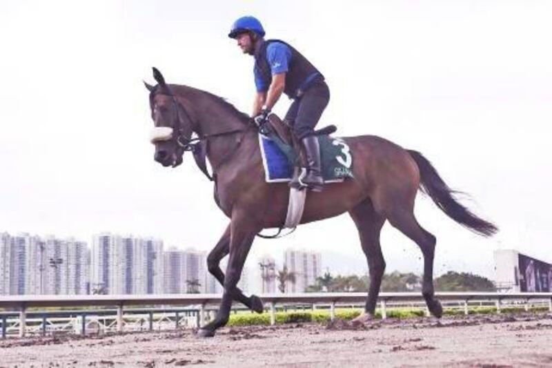 Sajjhaa, under a work rider, gallops on the all-weather track at Sha Tin Racecourse in Hong Kong.