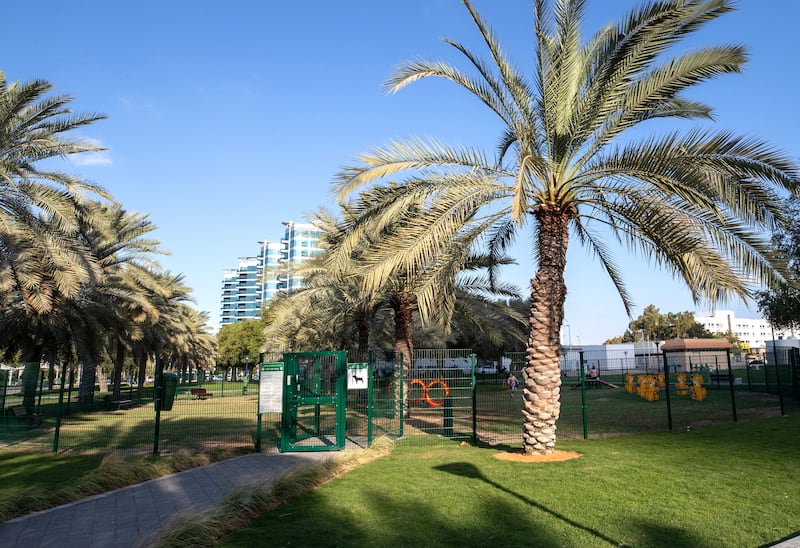 The new dog park is located near the Abu Dhabi Corniche.