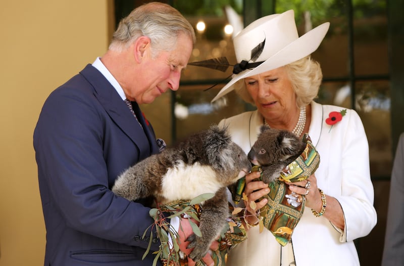 Prince Charles and Camilla hold koalas at Government House in Adelaide, Australia, in 2012.
