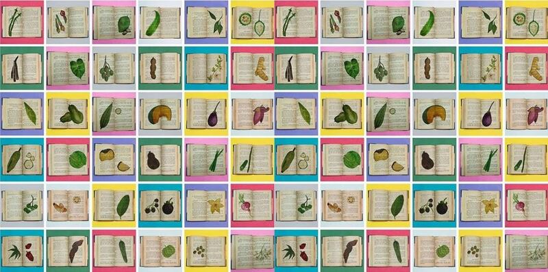 Food designer Akash Muralidharan started his 'Cook and See' project, which explores the histories of forgotten vegetables in South India, in March. Artwork by Srishti P Via @akash_muralidaran / Instagram