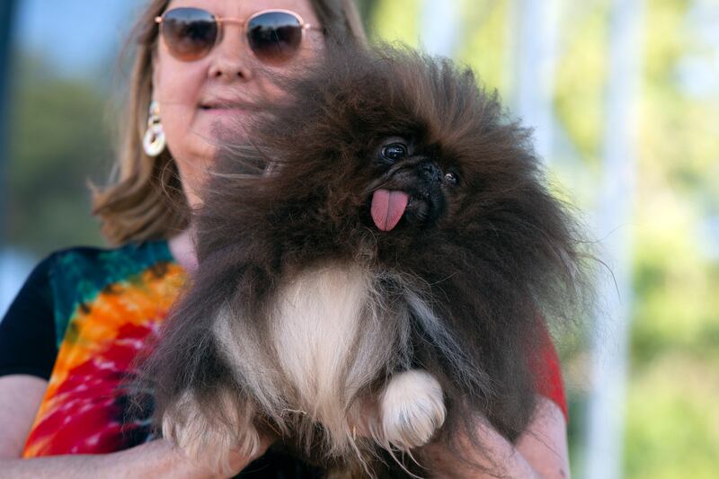 Ann Lewis and Wild Thing. AP