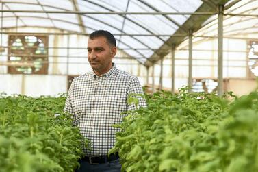 Farmers in the UAE say initiative will play an important role in maturing the country’s fresh produce scene. Khushnum Bhandari / The National