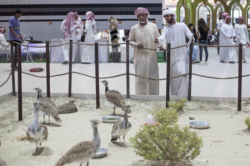 Visitors looking at the Houbara bird at the International fund of Houbara Conservation stand in ADIHEX. Mona Al Marzooqi / The National 