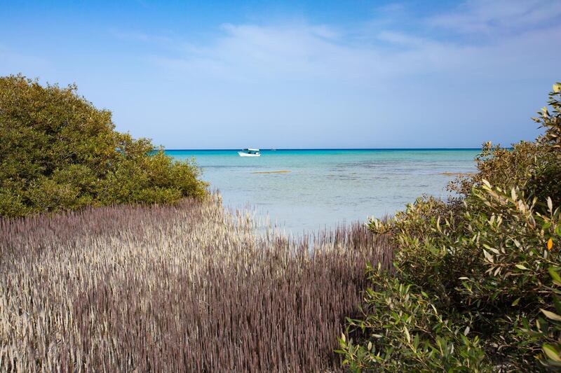 The Red Sea Project will turn untouched coastlines into one of Saudi Arabia's biggest tourism projects where conservation is key. Courtesy The Red Sea Development Company. 