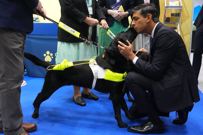 Mr Sunak pets a dog at the conference. Getty Images