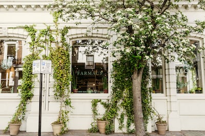 The inspiration for the Farmacy venture came when Camilla Fayed was unable to find anywhere to eat out where sustainable farming and supply chains were as important as the flavour of the dishes. Photo: Farmacy London