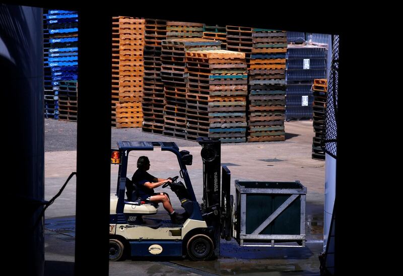 A worker drives a forklift as he transports grapes for processing at Petersons Winery in the Hunter Valley, located north of Sydney in Australia, February 14, 2018. Picture taken February 14, 2018.      REUTERS/David Gray