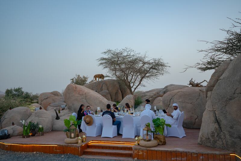 Al Ain Zoo is offering an Iftar with Lions experience. All photos: DCT – Abu Dhabi