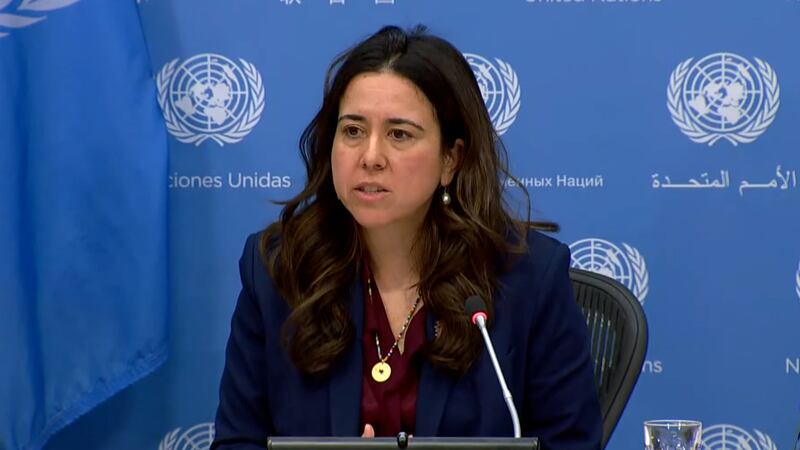 UAE ambassador to the UN Lana Nusseibeh has called for a ceasefire in the Israel-Gaza war. The National