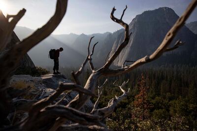 Alex Honnold at the base of El Capitan in Yosemite National Park. (National Geographic/Jimmy Chin)