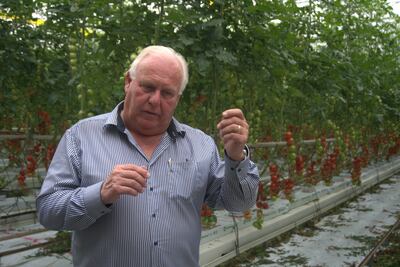 Lans greenhouse co-owner Leo Van Der Lans. Sunniva Rose / The National