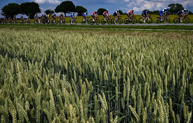 The peloton during Stage 3 of the Tour de France - a 182km ride between Vejle and Sonderborg in Denmark. AFP