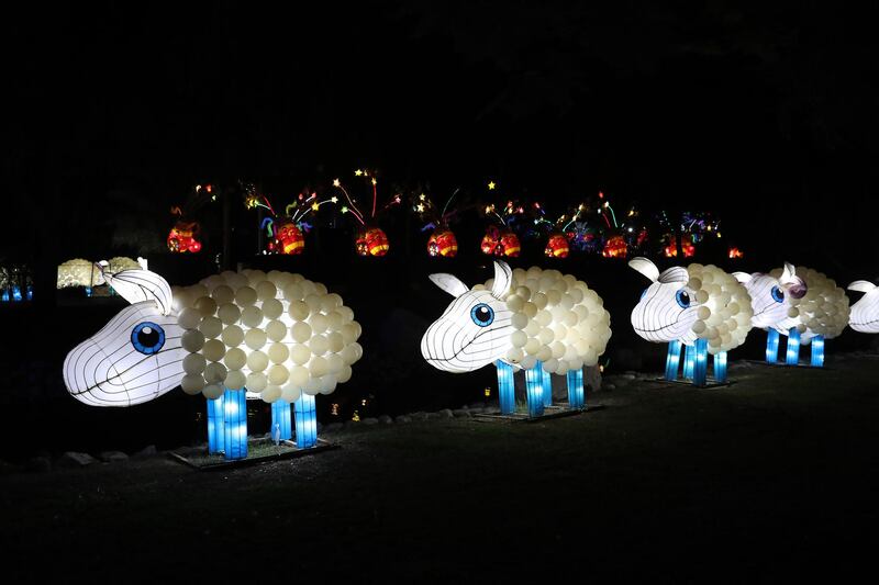 DUBAI, UNITED ARAB EMIRATES , October 14 – 2020 :- View of the colourful light figures at the Dubai Garden Glow season 6 which opened on 12th October at the Zabeel park in Dubai. No sitting allowed on the benches as a precautionary measure against the spread of coronavirus. Security at the entrance gate checks the body temperature of all the visitors. (Pawan Singh / The National) For Life Style/Online/Instagram/Big Picture. Story by Evelyn Lau