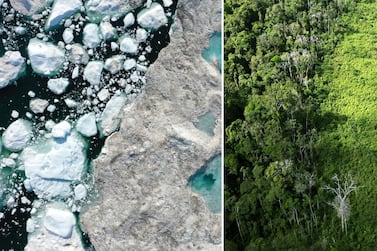 Left: Melting ice forms a lake during unseasonably warm weather in Greenland. Right: A deforested section of Amazon rainforest. Getty Images