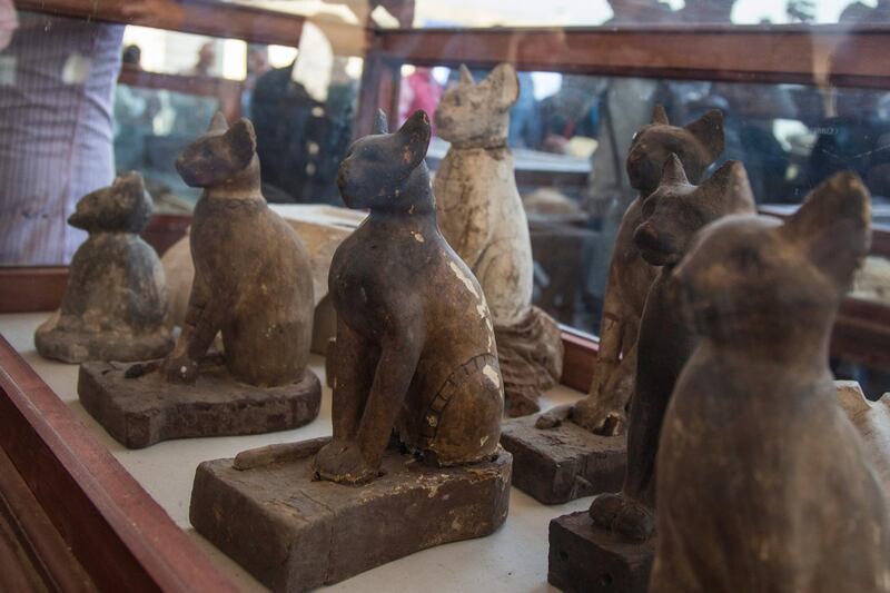 Statues of cats are displayed at the Step Pyramid of Djoser in Egypt's Saqqara after they were excavated in a recent dig. EPA