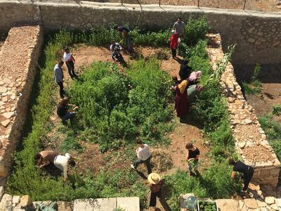 A workshop at Dar Jacir's agricultural terraces in 2018 with Vivien Sansour. Photo Emily Jacir