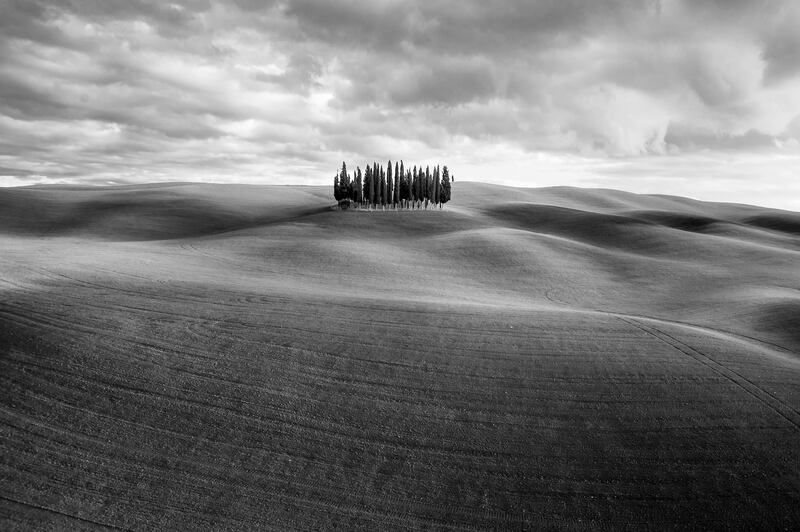 Gold medal, Nature — Art, Landscape with trees: San Quirico d'orcia, in Tuscany, Italy, by Federico Testi, Italy.