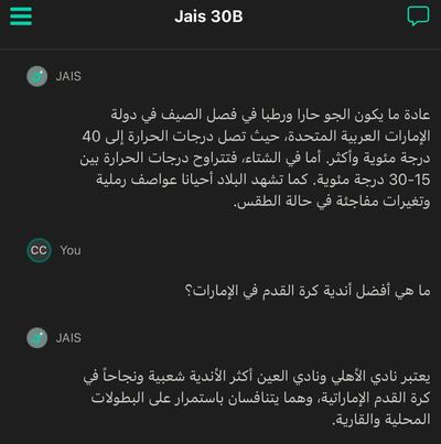 Core42, developer of Jais Chat, says the AI chatbot is engineered with an Arabic-centric approach for efficient processing of Arabic text. Photo: Cody Combs / Ismaeel Naar