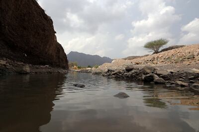 FUJAIRAH , UNITED ARAB EMIRATES ,  October 30 , 2018 :- Accumulated rain water at the wadi in the Marbad area near Masafi in  Fujairah. Some of the school student from Romaitha Alansaria Primary School for girls were stuck during the rainstorm yesterday in this area.  ( Pawan Singh / The National )  For News. Story  by Ruba