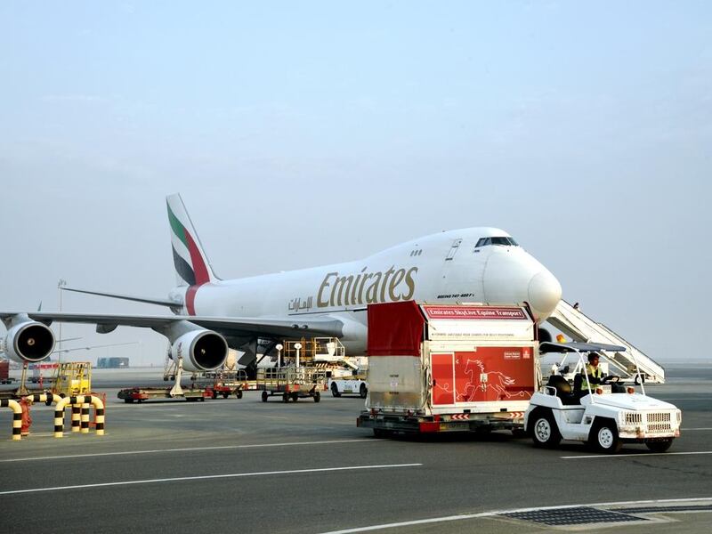 Racehorses arrive at Dubai World Central ahead of the Dubai World Cup. Courtesy Emirates