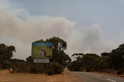 KANGAROO ISLAND, AUSTRALIA - JANUARY 09: A large plume of bushfire smoke is seen over the Playford Highway in the Parndana region on January 09, 2020 on Kangaroo Island, Australia. Residents of the Kangaroo Island township of Parndana and Vivonne Bay have been told to evacuate as bushfire threatens both areas. The fire, which has been burning since last week and claimed two lives, had been downgraded to advice level but has now been upgraded, with watch and act messages current for two separate fire fronts. More than 155,000 hectares of land has been burned on Kangaroo Island since 4 January, and at least 56 homes were also destroyed.  (Photo by Lisa Maree Williams/Getty Images)