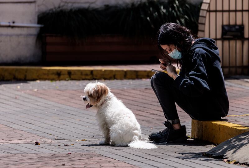 A woman wearing a mask for protection sits with her dog after Covid-19 testing. EPA