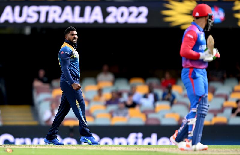 Wanindu Hasaranga celebrates taking the wicket of Rashid Khan. Getty