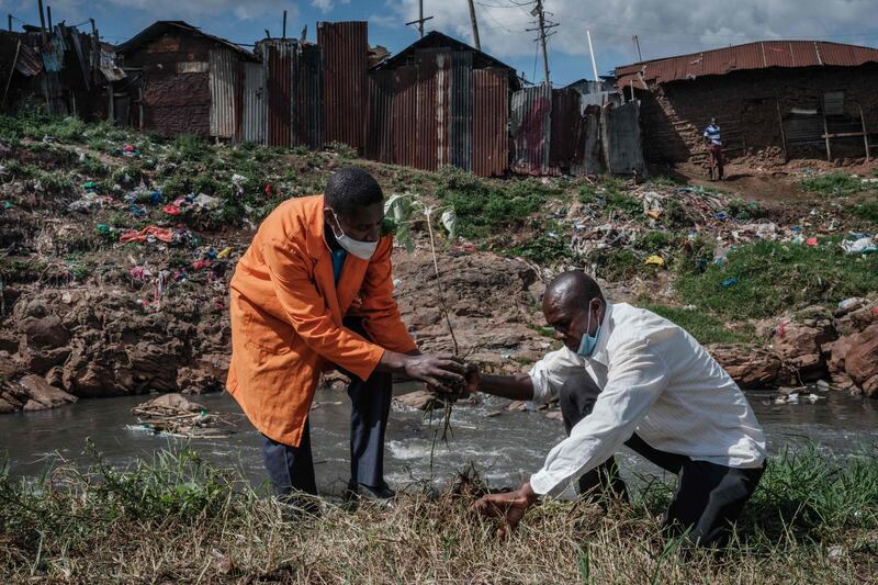 Members of the Canaan Riverside Green Peace voluntary group plant a tree on the bank of the Nairobi River, in Dandora slum in Nairobi, Kenya. The environmental group has planted 500 trees in two years. AFP