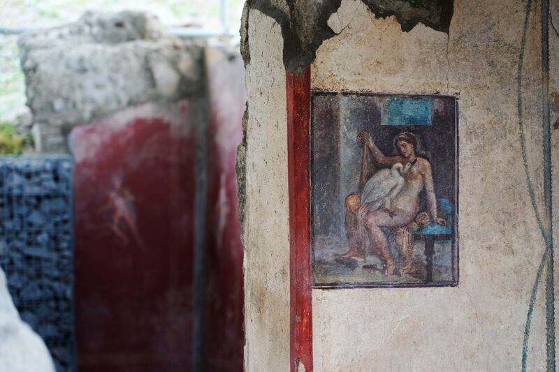 The 'Leda and the swan' fresco is seen on a wall at the Pompeii archaeological site in southern Italy, Tuesday, Feb.  15, 2022.  In a few horrible hours, Pompeii went from being a vibrant city to a dead one, smothered by a furious volcanic eruption in 79 AD.  Then in this century, Pompeii appeared alarmingly on the precipice of a second death, assailed by decades of neglect, mismanagement and scanty systematic maintenance of heavily visited ruins.  (AP Photo / Gregorio Borgia)