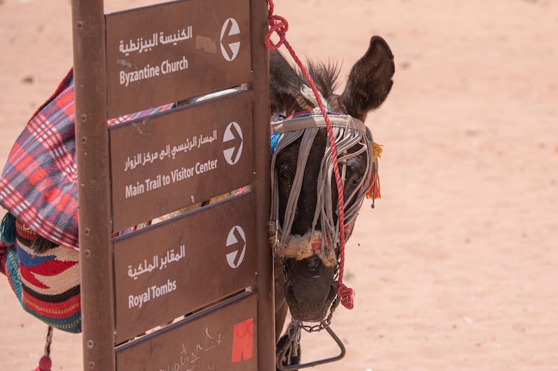 A donkey stands next to direction signs at the reopened Petra archeological site. EPA
