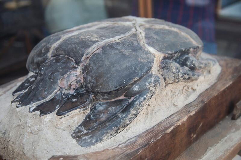 A rare large stone scarab is also on display. EPA
