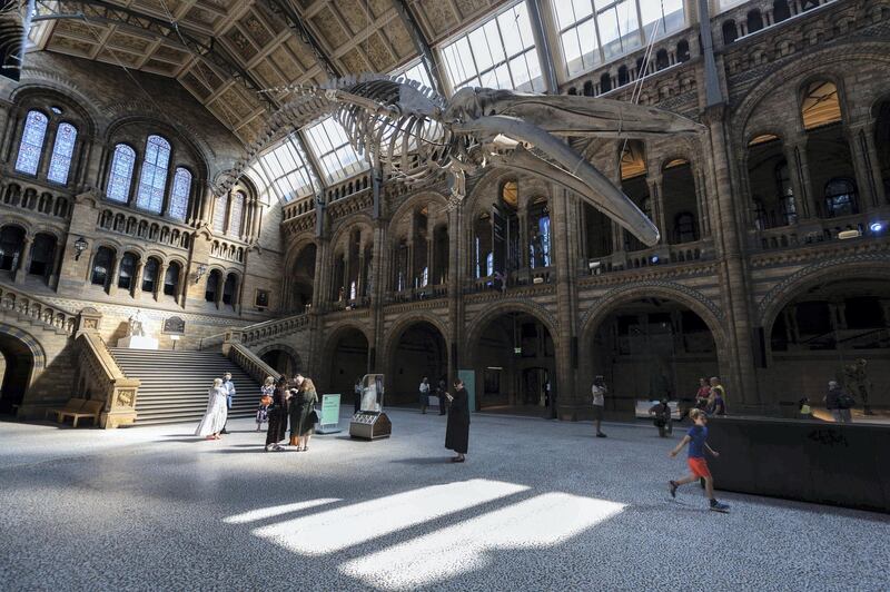 LONDON, ENGLAND - AUGUST 05: Members of the public enjoy the lobby exhibits during the reopening of the Natural History Museum on August 5, 2020 in London, England.  The museum closed for 5 months due to COVID-19. (Photo by Ian Gavan/Getty Images)