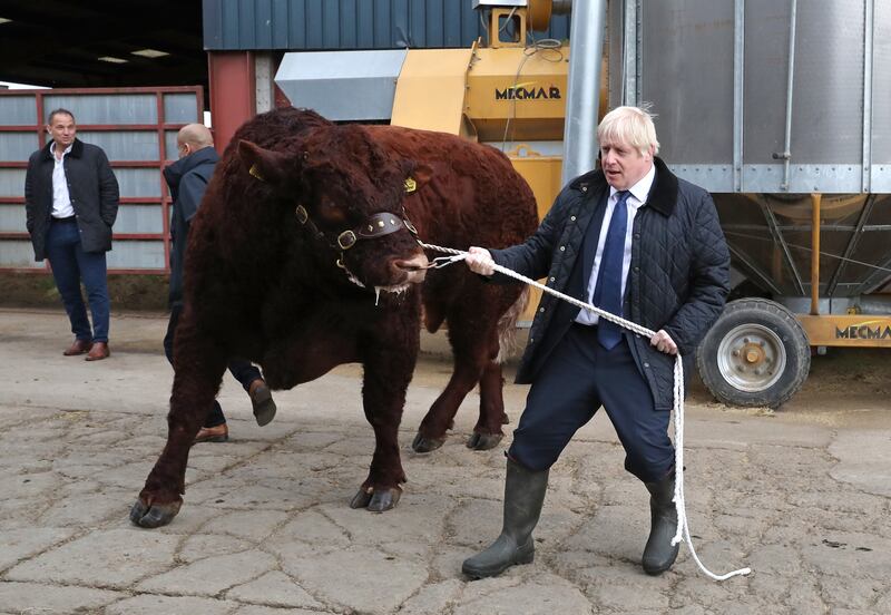 Mr Johnson leads a bull around a pen as he visits Darnford Farm near Aberdeen, Scotland, in September 2019. Getty Images