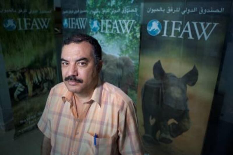 June 11, 2011 - Dr. Elsayyed Ahmad A. Mohamed, Program Director for training customs officials on how to spot illegall smuggling of animal products poses for a portrait  at the International Fund for Animal Welfare office in Dubai. Pawel Dwulit / The National
