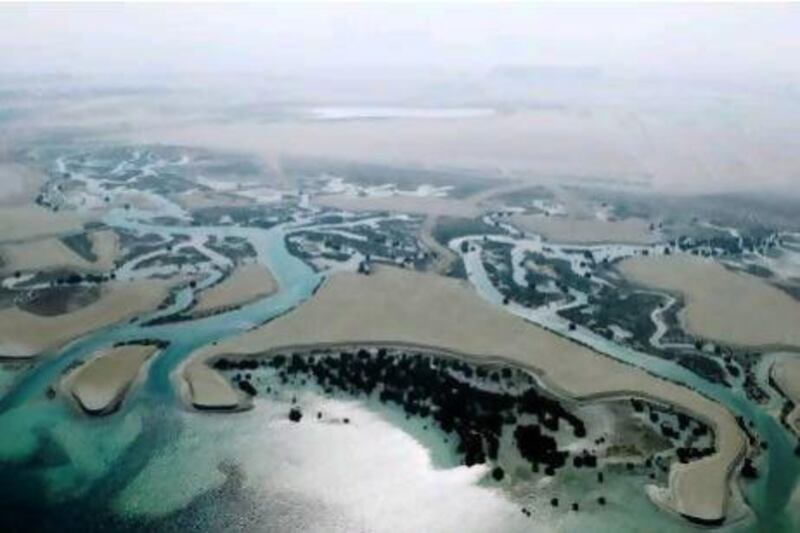 Abu Dhabi's mangrove forests can be seen on the flight. Sara Dea / The National