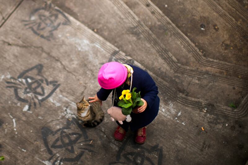 A child plays with a cat next to a makeshift animal shelter in the Cihangir neighbourhood of Istanbul. AP