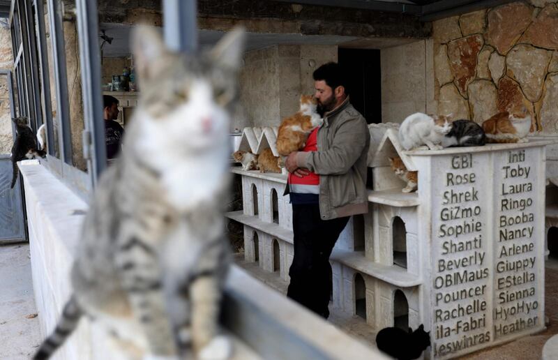 The 43-year-old grew up in Aleppo and has been mad about cats since he was a boy. AFP
