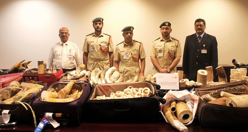 August 25, 2015, Dubai , UAE- 
The General Department for airport security at Dubai Police announced that it seized five separate shipments of ivory, which is internationally banned as per the terms of the CITES Convention. The shipments, which were seized last month, weighed 622 kg in total, and are worth an estimated five million dirhams, during the last month.
 Courtesy Dubai Police 
 *** Local Caption ***  na26au-ivory_brief.jpg