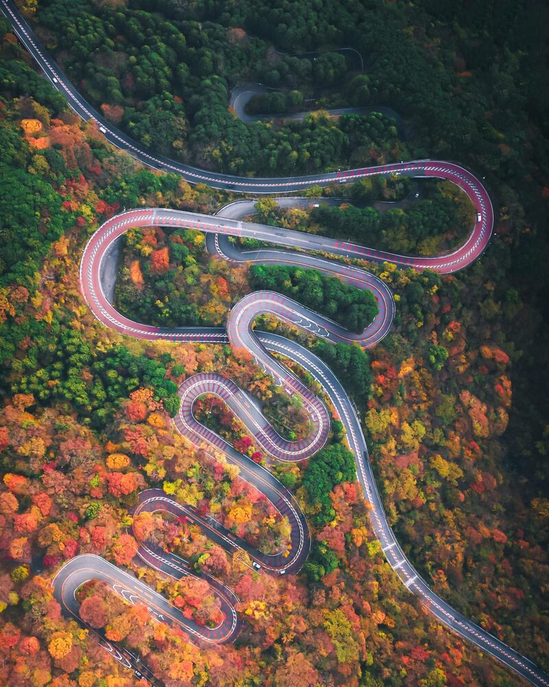 This is an aerial photograph of a mountain road in Hakone, Japan. The path, when seen from the sky, looked like a snake. Photographed in autumn, the leaves of the coloured trees were extremely beautiful.
