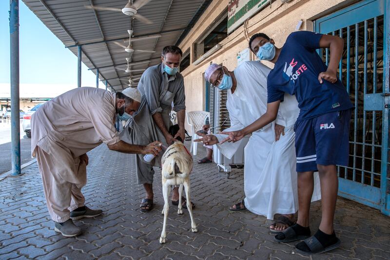 Men inspect a goat at Abu Dhabi Livestock Market before Eid Al Adha.