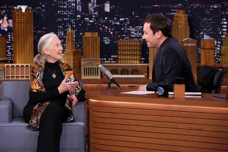 Conservationist Jane Goodall during an interview with host Jimmy Fallon on The Tonight Show, September 14, 2017. Getty Images