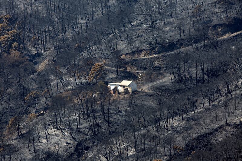 A house stands in the middle of an area devastated by a wildfire in Sierra Bermeja, Malaga, Spain. EPA