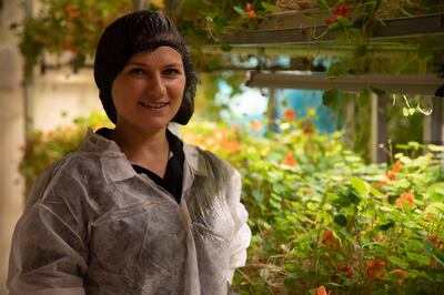 Dutch resident Mary Anne de Haan at her edible flowers farm in Dubai. Suhail Akram / The National