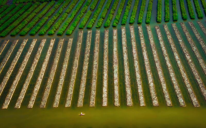 Highly Commended, Mangroves & Landscape, Alex Cao, Vietnam. Photo: Alex Cao / Mangrove Photography Awards