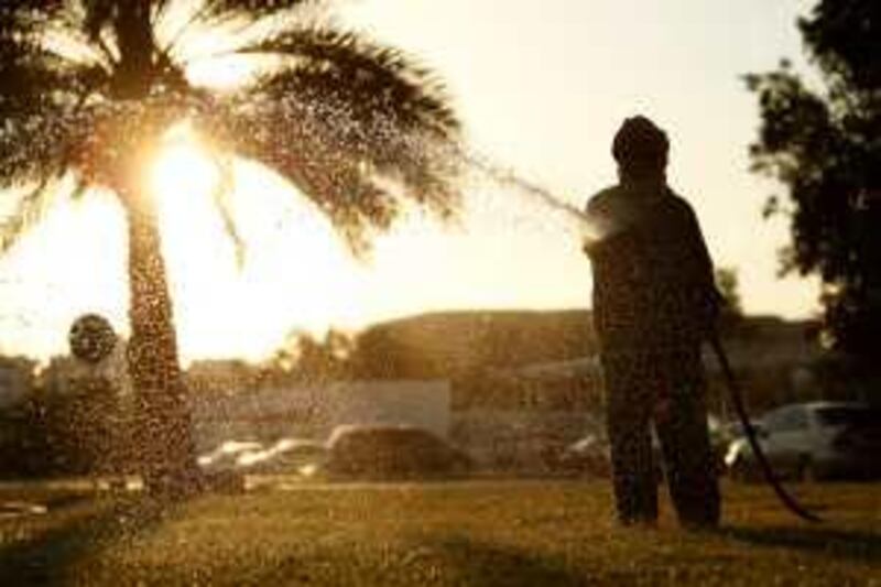 ABU DHABI, UNITED ARAB EMIRATES - December 4, 2008: 
A man waters ( water ) city grass in Abu Dhabi.
( Ryan Carter / The National )

*** Stock Images *** Local Caption ***  RC005-Stock.JPGRC005-Stock.JPG