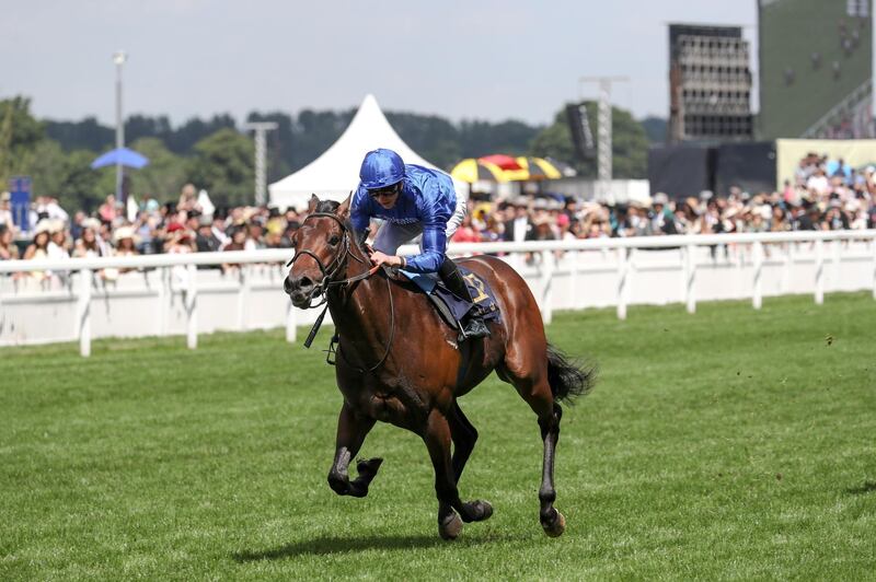 Godolphin’s Blue Point, ridden by James Doyle and trained by Charlie Appleby, galloped to victory and claimed the Diamond Jubilee Stakes (Group 1) title. Wam