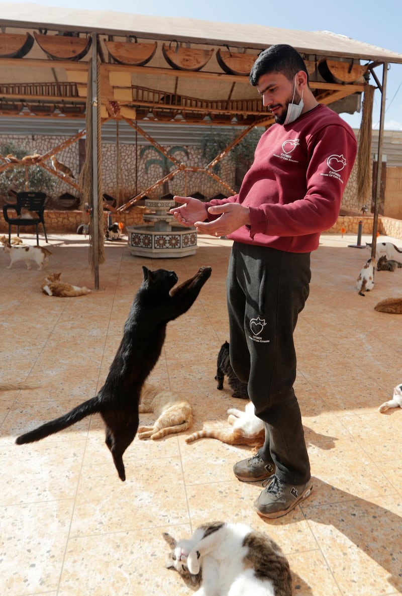 Leap of faith: a worker plays with a cat at Ernesto's sanctuary in Idlib. Reuters
