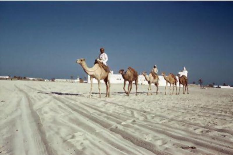 'We used to leave Al Hosn sometimes, for walks, to see the palm trees, our camels or goats,' says Sheikha Mahra.